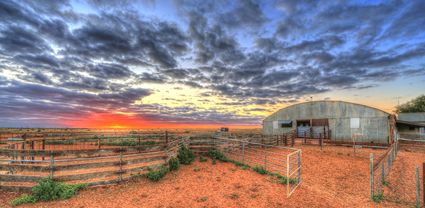 Bucklow Station - Woolshed - NSW T (PB5D 00 2691)